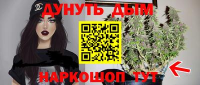 мдпв Заводоуковск