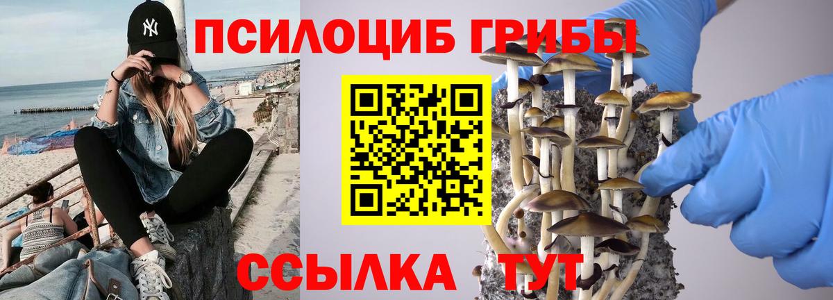 Галлюциногенные грибы Magic Shrooms Губаха